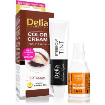 Delia Cosmetics Argan Oil culoare pentru sprancene