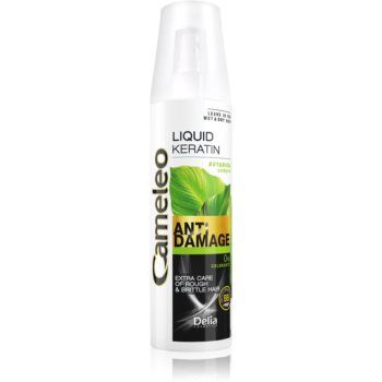 Delia Cosmetics Cameleo BB Keratină lichidă spray pentru par deteriorat ieftin