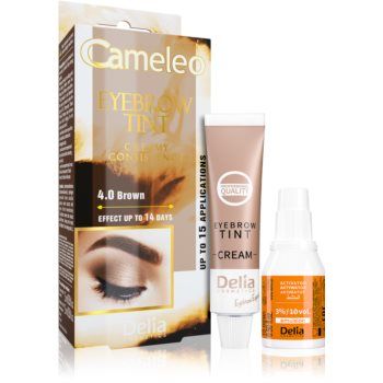 Delia Cosmetics Cameleo Vopsea crema profesionala pentru sprancene fără amoniac