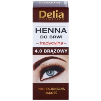 Delia Cosmetics Henna culoare pentru sprancene ieftina