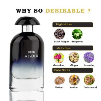 Parfum Bleu Absolu, Riiffs, apa de parfum 100 ml, barbati - inspirat din Dior Sauvage