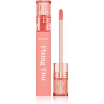 ETUDE Fixing Tint ruj cu persistență îndelungată cu efect mat