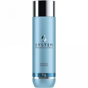 System professional - Sampon hidratare par uscat Hydrate 250ml