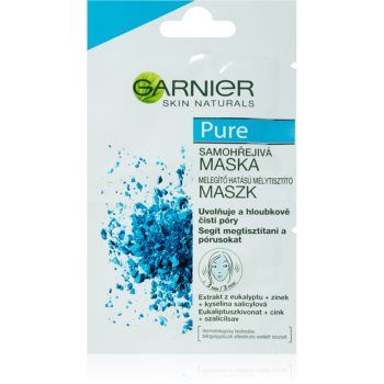Garnier Pure mască pentru față pentru ten acneic ieftina