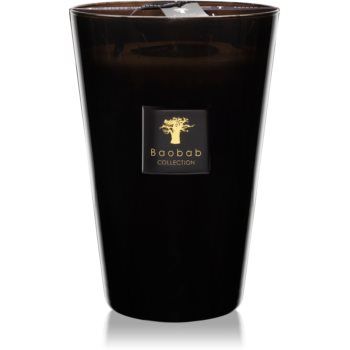 Baobab Collection Les Prestigieuses Encre de Chine lumânare parfumată