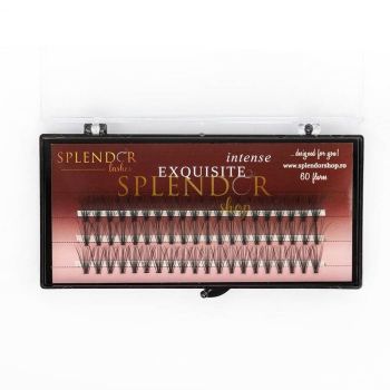 Gene false smocuri Exquisite Intense 20D Silk Lashes - 60 buc marimea M de firma originale