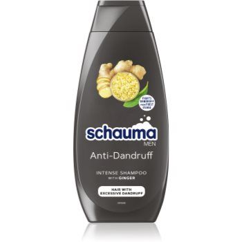 Schwarzkopf Schauma MEN sampon anti-matreata cu ghimbir