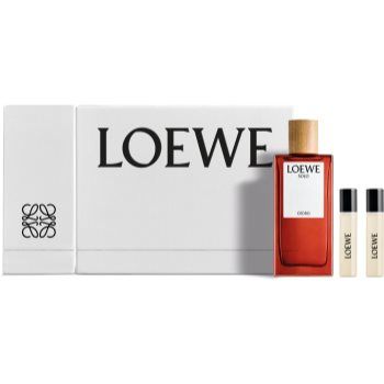 Loewe Solo Cedro set cadou pentru bărbați