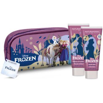 Disney Frozen Beauty Case set cadou (pentru copii)
