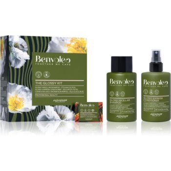 Alfaparf Milano Benvoleo Glossy set cadou (pentru un par stralucitor si catifelat)