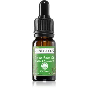 Antipodes Divine Face Oil Rosehip & Avocado Oil ser protector impotriva primelor semne de imbatranire ale pielii