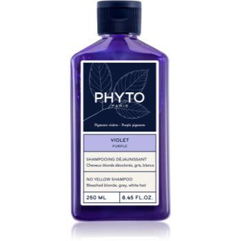 Phyto Purple No Yellow Shampoo șampon nuanțator pentru parul blond cu suvite