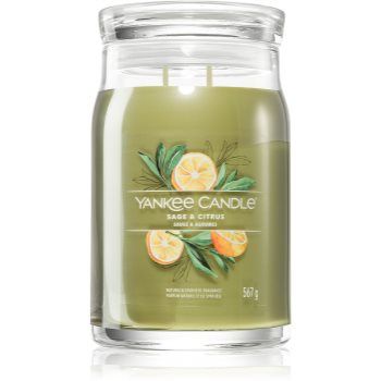 Yankee Candle Sage & Citrus lumânare parfumată Signature