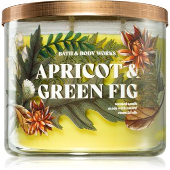 Bath & Body Works Apricot & Green Fig lumânare parfumată