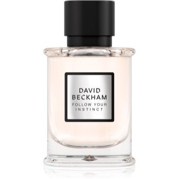 David Beckham Follow Your Instinct Eau de Parfum pentru bărbați