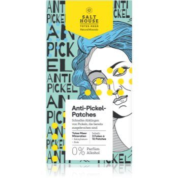 Salt House Natural Minerals Anti-pimple Patches plasturi pentru piele problematică impotriva acneei