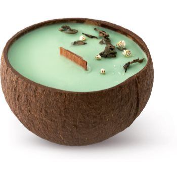 Tropicandle Green Tea lumânare parfumată cu fitil din lemn ieftin