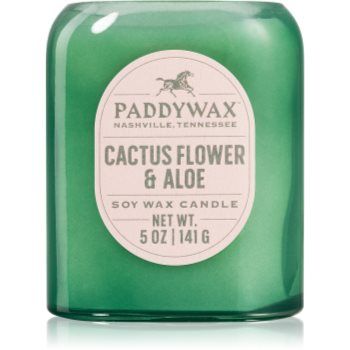 Paddywax Vista Cactus Flower & Aloe lumânare parfumată
