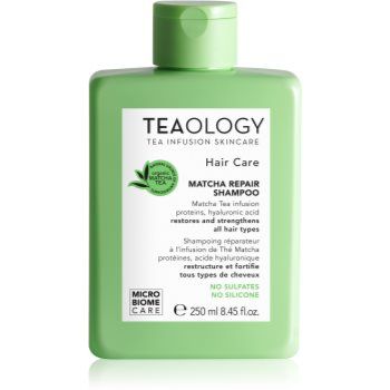 Teaology Hair Matcha Repair Shampoo șampon pentru întărirea părului ieftin