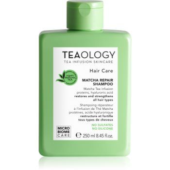 Teaology Matcha Tea Repair Shampoo șampon pentru întărirea părului