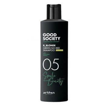 Sampon cu Pigmenți Verzi Artego GS05N No Red 250 ml