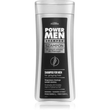 Joanna Power Men șampon pentru păr alb și gri pentru barbati la reducere
