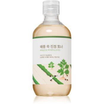 ROUND LAB Mugwort Calming Toner tonic facial cu efect calmant