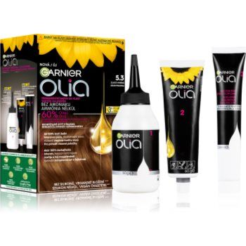 Garnier Olia Big Kit Culoare permanenta pentru par