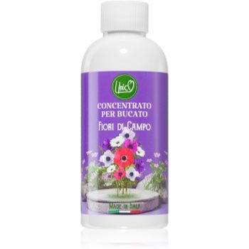 THD Unico Wild Flowers parfum concentrat pentru mașina de spălat