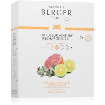 Maison Berger Paris Citrus Breeze parfum pentru masina rezervă