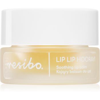 Resibo Lip Lip Hooray! Shooting Lip Balm balsam de buze ultra-hidratant