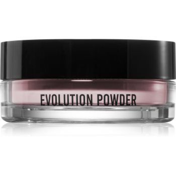 Danessa Myricks Beauty Evolution Powder pudra translucida