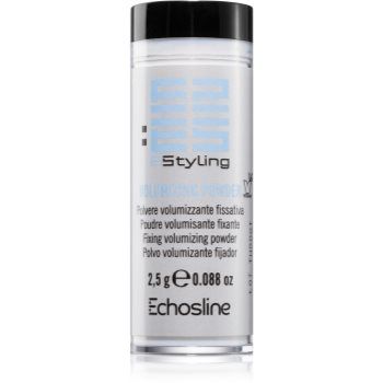 Echosline Styling pudră matifiantă de volum pentru păr