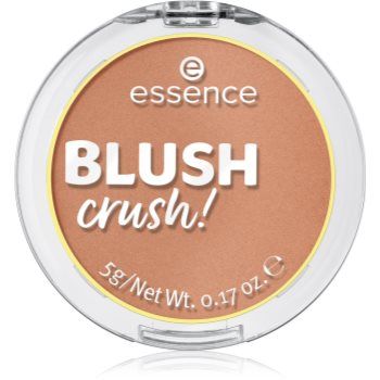 essence BLUSH crush! blush