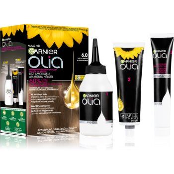 Garnier Olia Big Kit Culoare permanenta pentru par