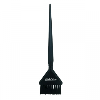 Pensula pentru vopsit parul Raphael Perrier Haircolor Brush