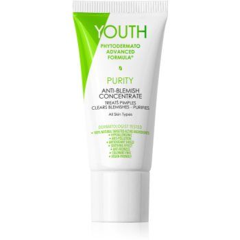 YOUTH Purity Anti-Blemish Concentrate tratament topic pentru acnee