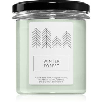 Hagi Winter Forest lumânare parfumată