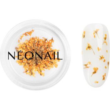 NEONAIL Dried Flowers flori uscate pentru unghii