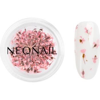 NEONAIL Dried Flowers flori uscate pentru unghii ieftin