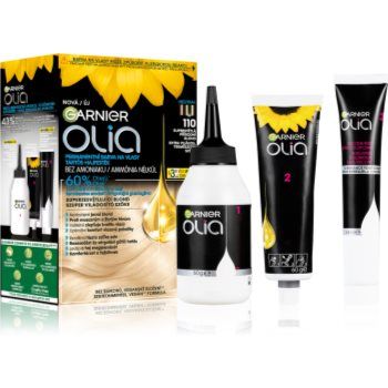 Garnier Olia Big Kit Culoare permanenta pentru par