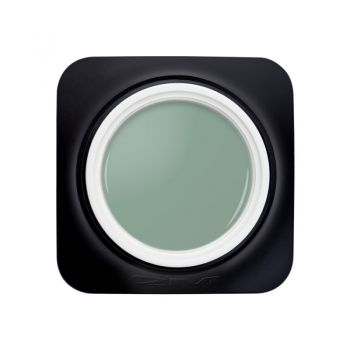 Gel Color 2M Nr. 020