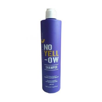 Sampon No Yellow cu Pigment Violet Compagnia del Colore, 500 ml