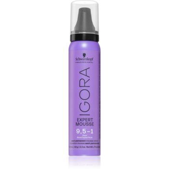Schwarzkopf Professional IGORA Expert Mousse vopsea de par sub forma de spuma pentru păr