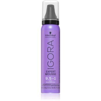 Schwarzkopf Professional IGORA Expert Mousse vopsea de par sub forma de spuma pentru păr