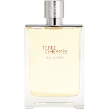 HERMÈS Terre d’Hermès Eau Givrée Eau de Parfum pentru bărbați