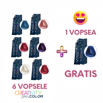 Set 6 vopsele CREATIVITY + 1 GRATIS (set complet gama Creativity)