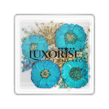 Flori Uscate Unghii LUXORISE - Serene Bloom Flori Uscate Unghii LUXORISE - Serene Bloom