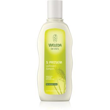 Weleda Hair Care sampon nutritiv cu mei pentru par normal