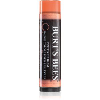 Burt’s Bees Tinted Lip Balm balsam de buze